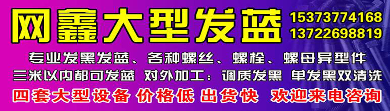 网鑫 何璐